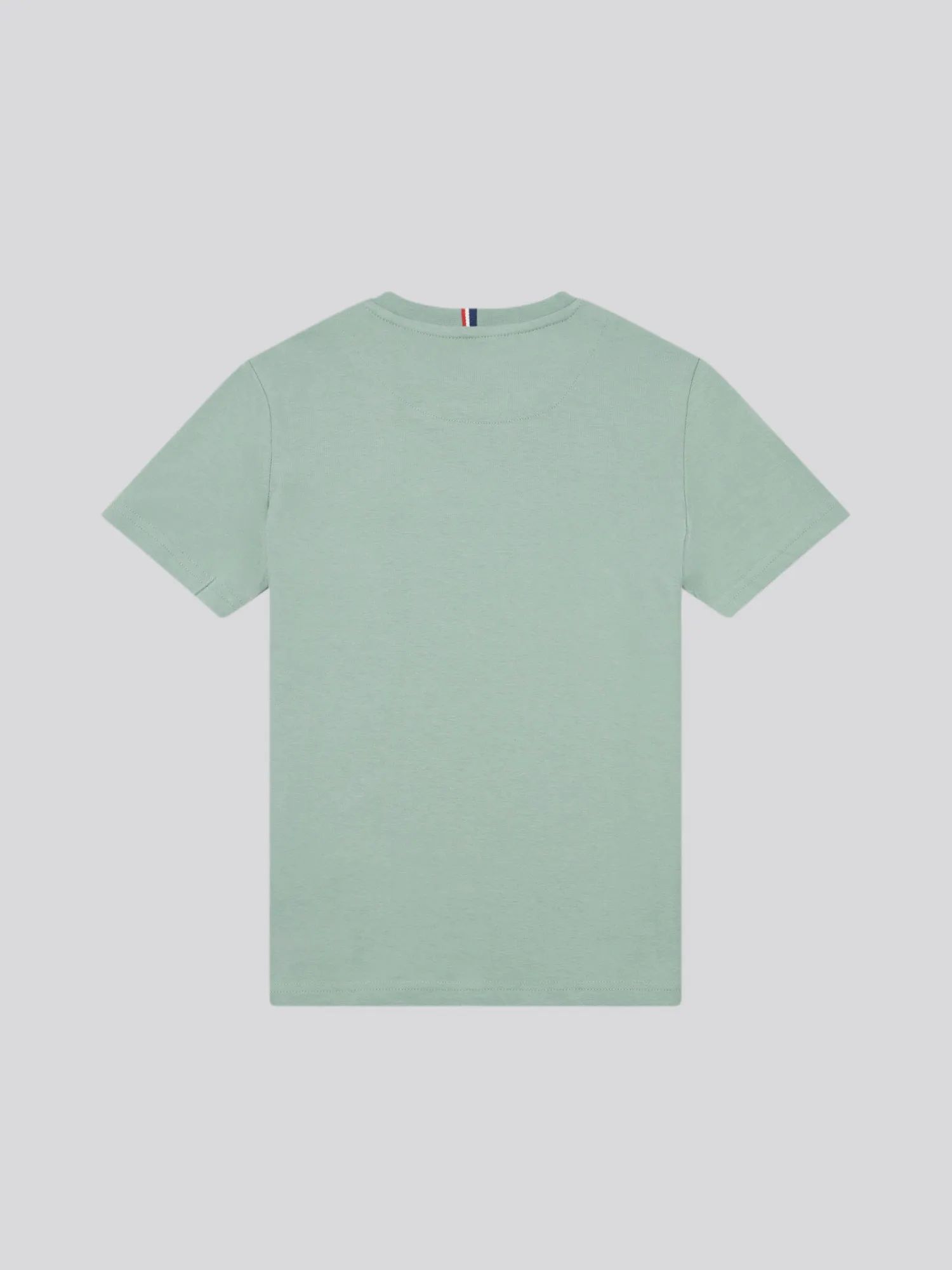 Boys Double Horsemen T- Shirt in Chinois Green