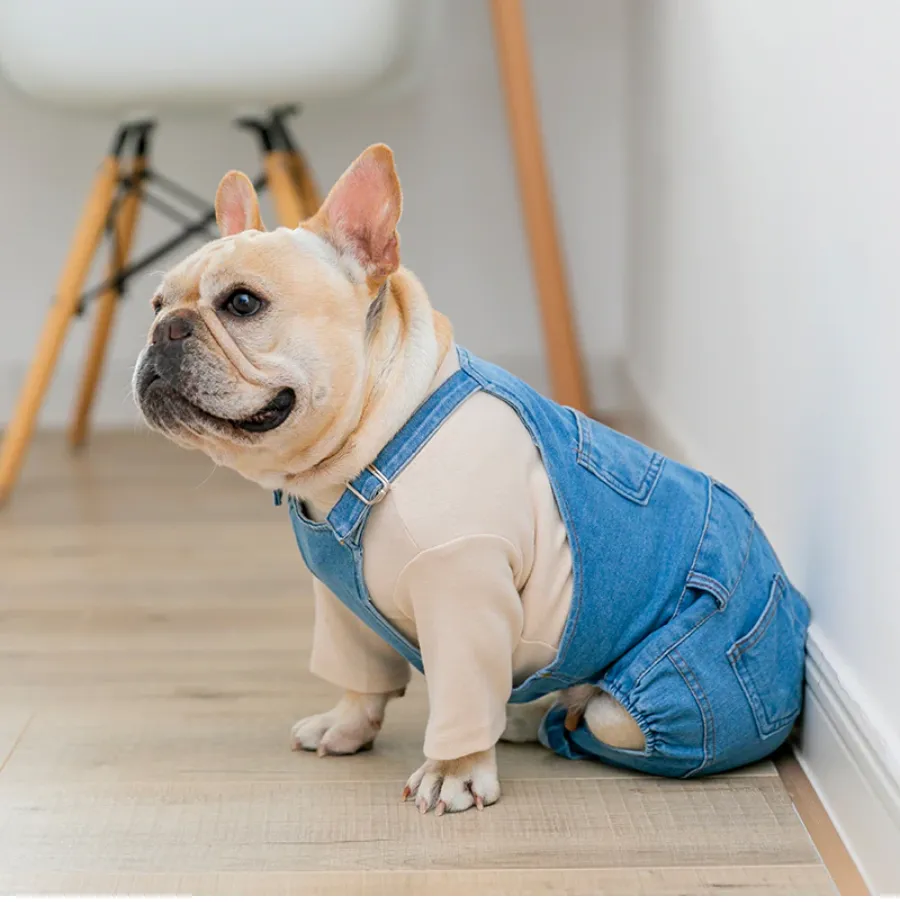 Jean Overalls Clothes Jeans Jumpsuit for French Bulldog (WS67)